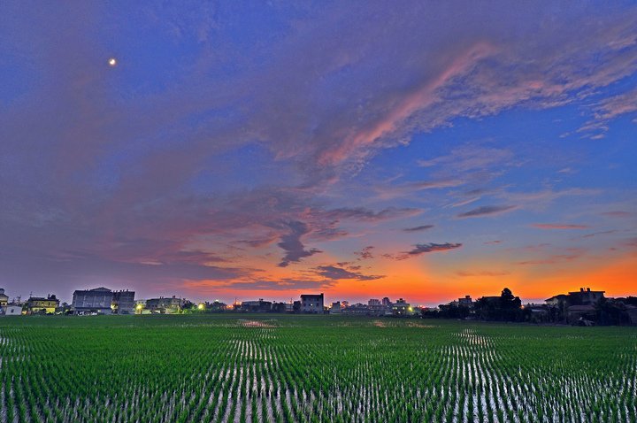 夕陽--60.jpg