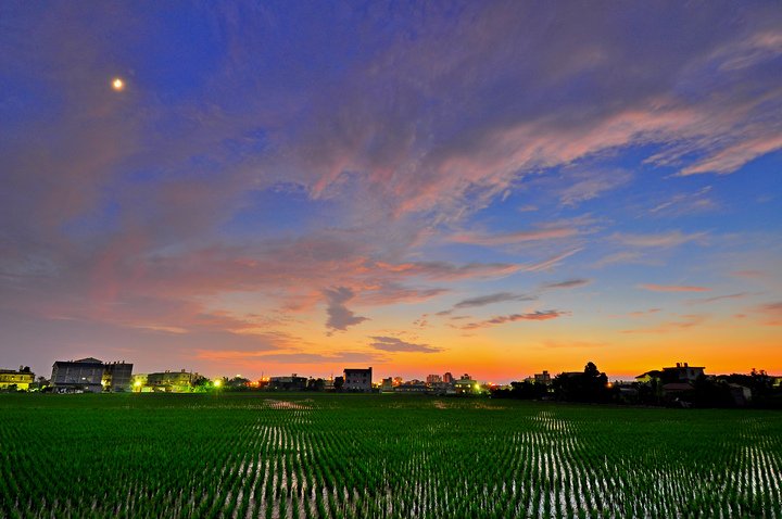 夕陽--61.jpg