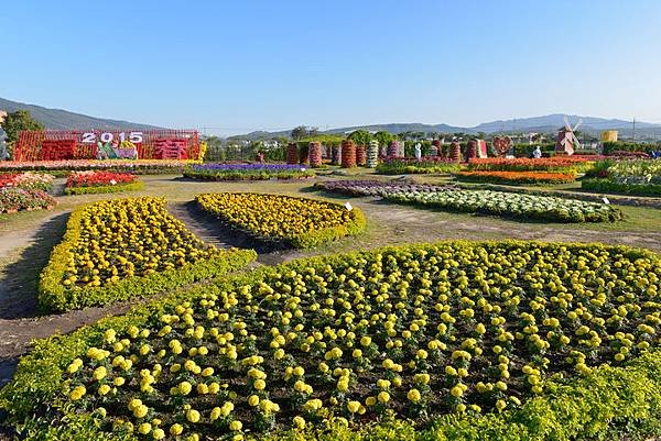 中社花市--1008.JPG