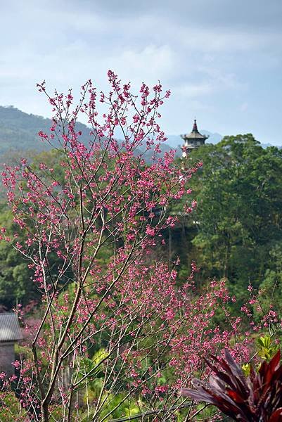 獅頭山--1062.jpg