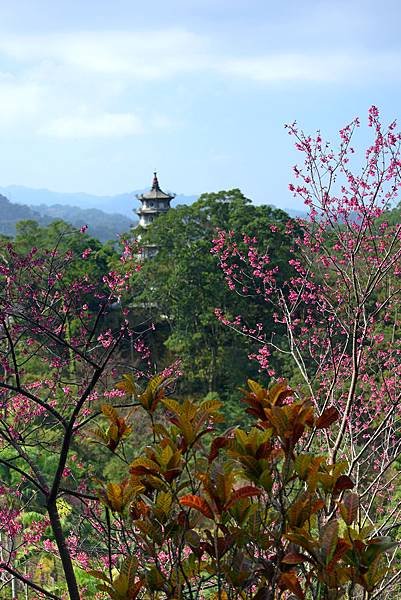 獅頭山--1066.jpg