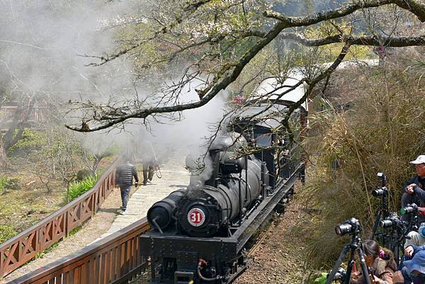 11.阿里山火車--1051.jpg