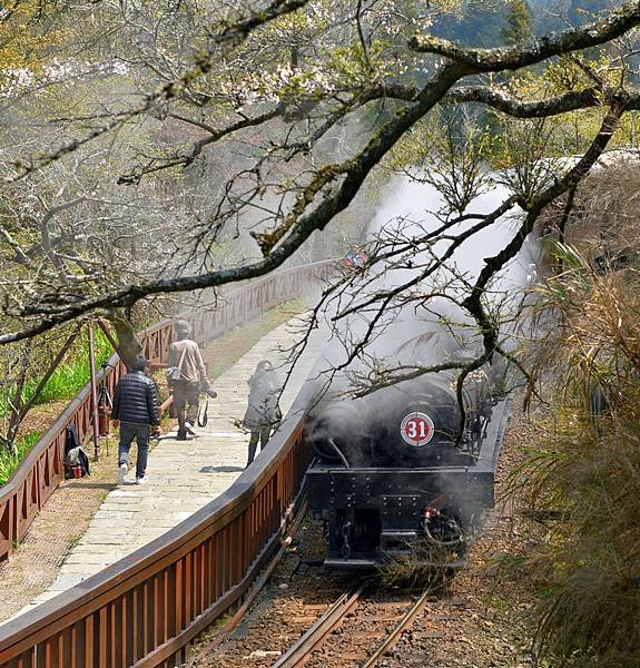 12.阿里山火車--1052.jpg