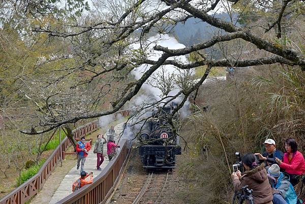 14.阿里山火車--1065.jpg