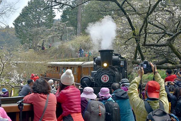 17.阿里山火車--1122.jpg