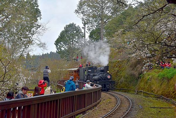 22.阿里山火車--1139.jpg