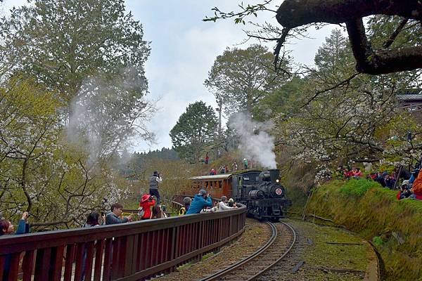 23.阿里山火車--1138.jpg