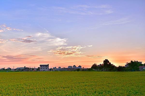 彩霞滿天--1001.jpg