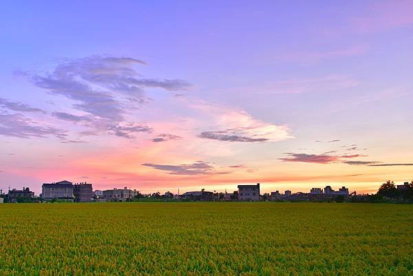 彩霞滿天--1005.jpg