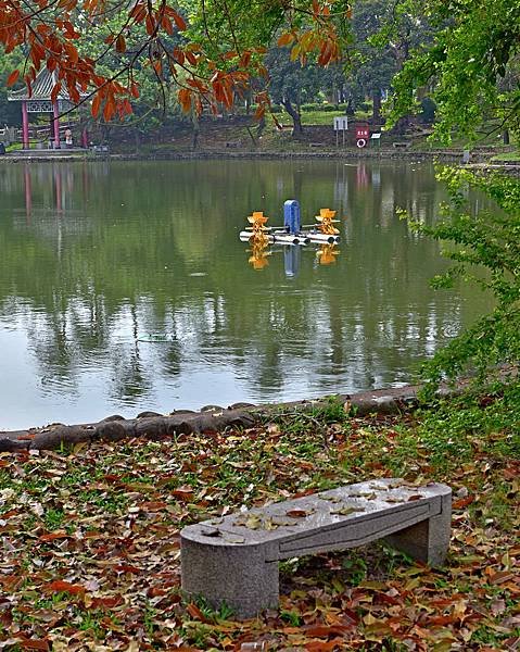 台南公園--19308.JPG