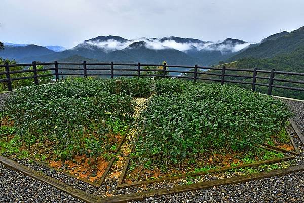 千島湖--23397.JPG
