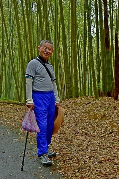 綠色隧道--34603.JPG