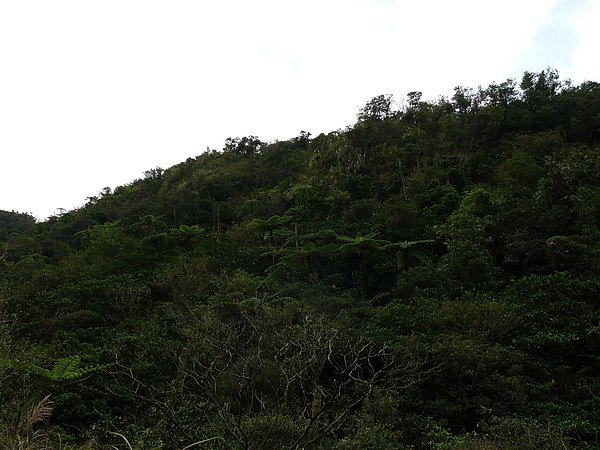 L1040010.JPG