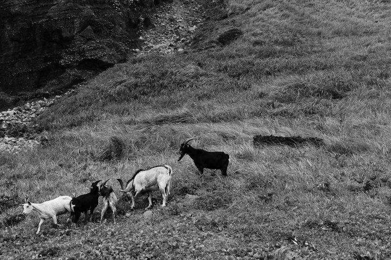 DSC_6927.jpg