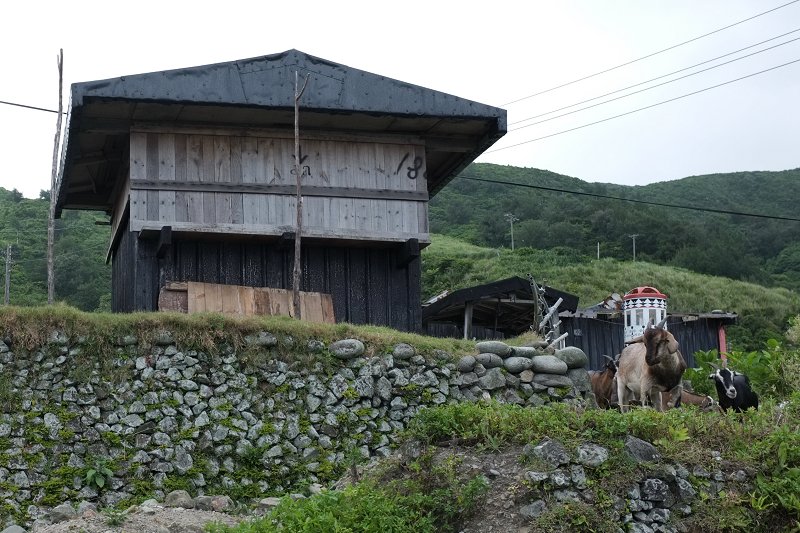 Lanyu_006.jpg
