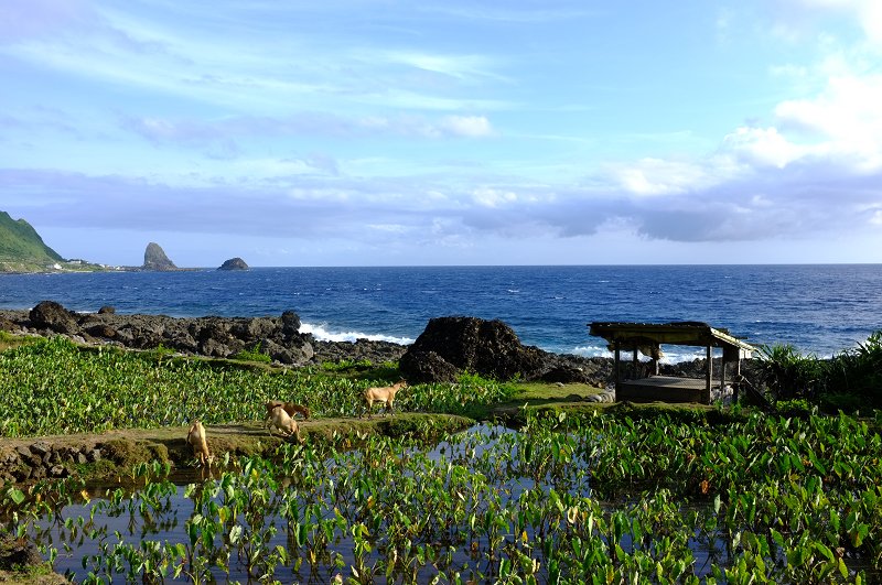 Lanyu_038.jpg