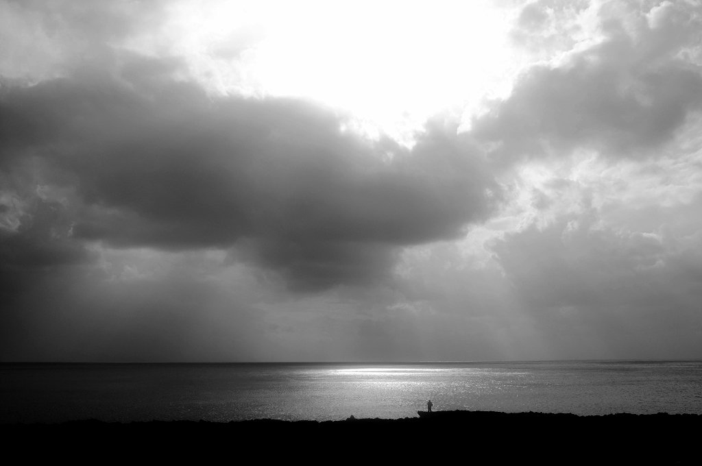 DSCF8977