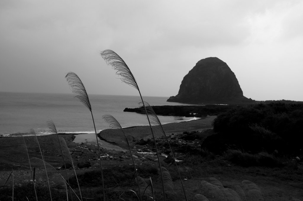 DSCF9009