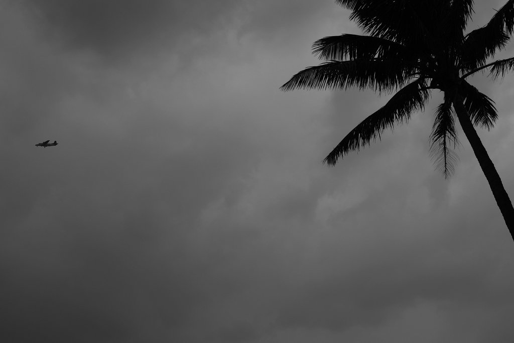 DSCF9020