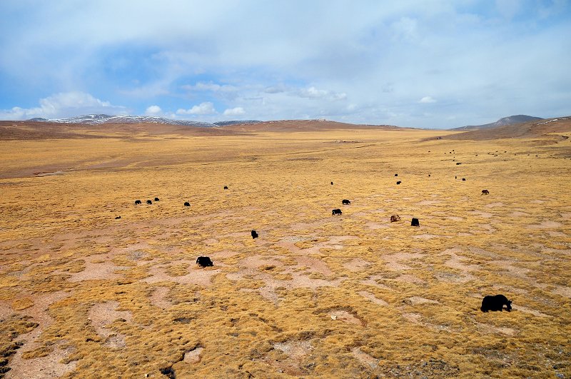 DSC_4087.jpg