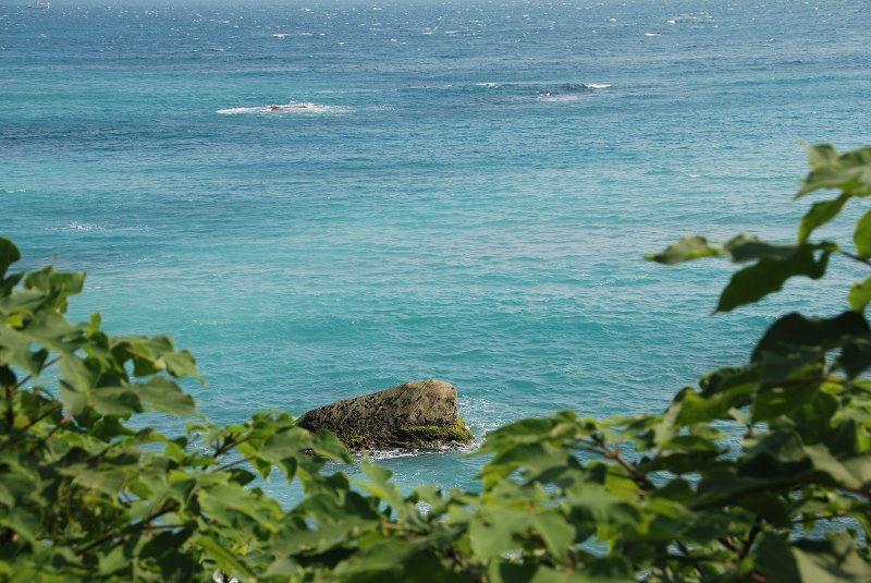 DSC_3638.jpg