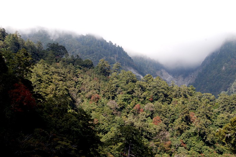 DSC_3907.jpg