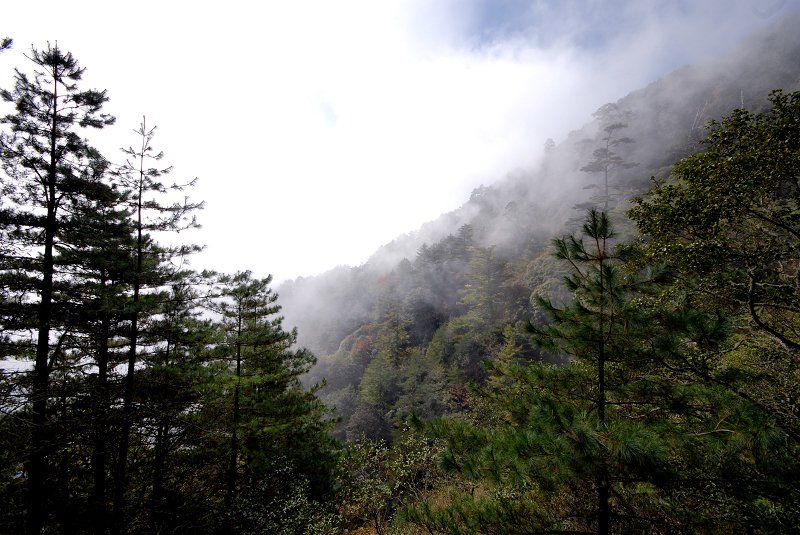 DSC_3930.jpg