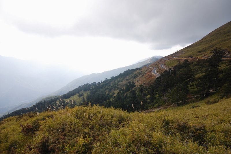 DSC_4043.jpg