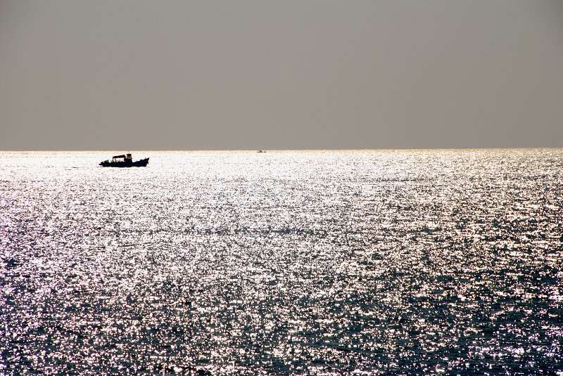 DSC_4132.jpg