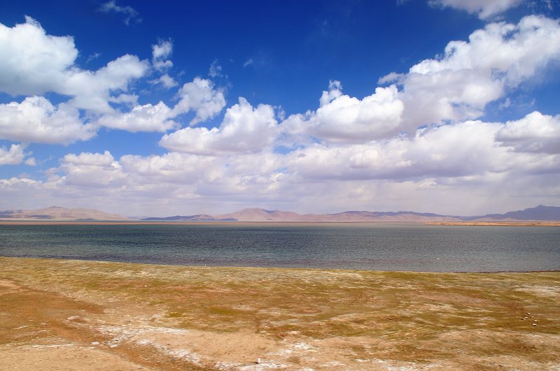 DSC_4131.jpg