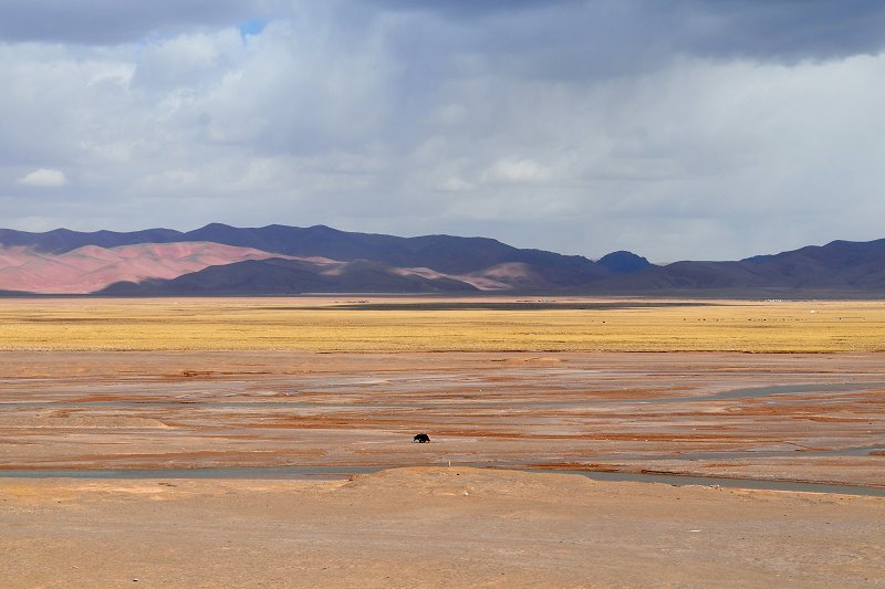 DSC_4121.jpg