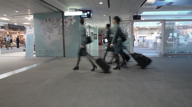 P1010372.jpg