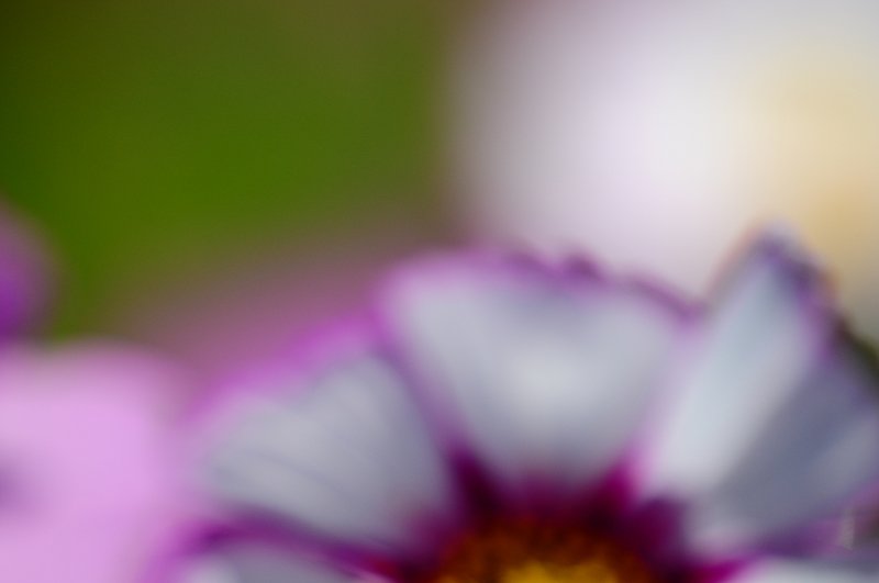 DSC_0362.jpg