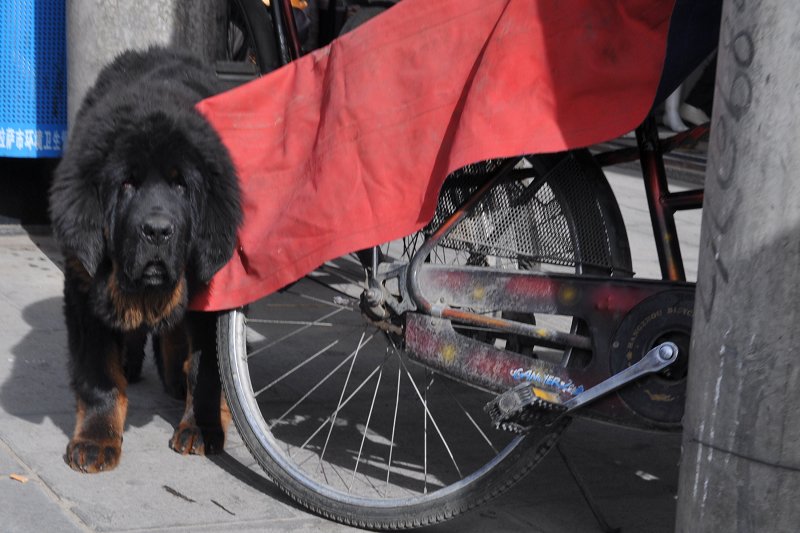 Tibet_036.jpg