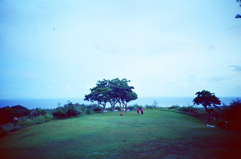 20890005.jpg