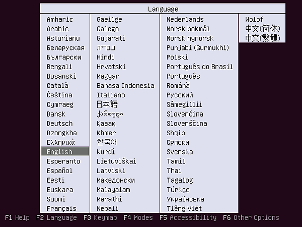 Ubuntu-Install-11.png