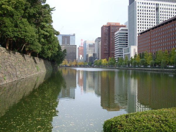 DSC00915.JPG