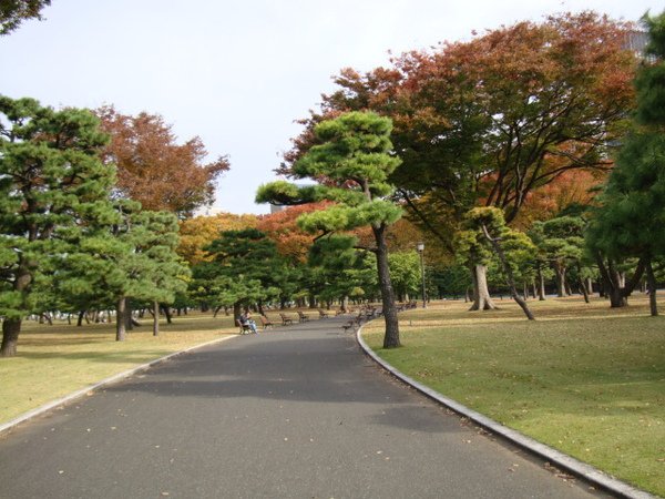 DSC00919.JPG