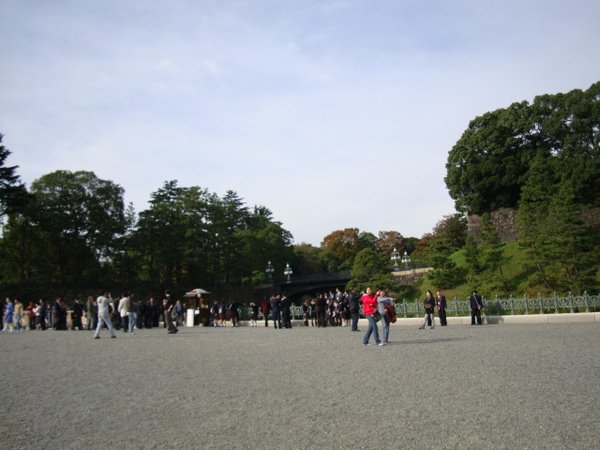 DSC00935.JPG