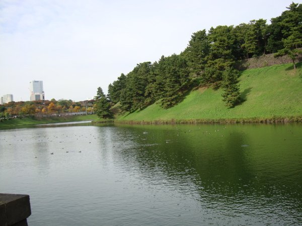 DSC00956.JPG