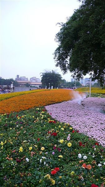 P1080643.JPG