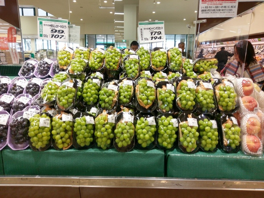 IMAG2462.jpg