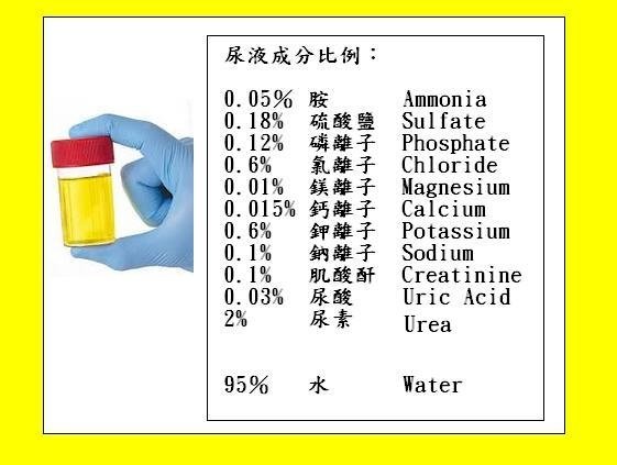 20170503尿液成分比例.JPG