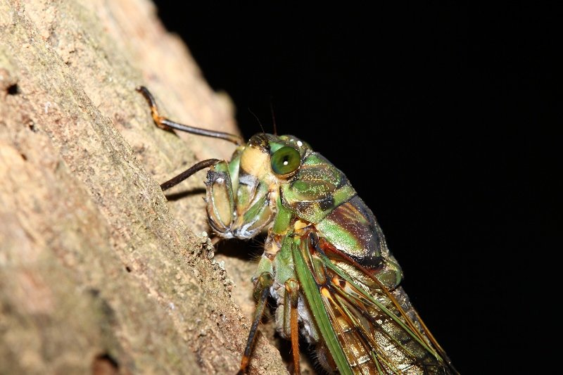 201106251.jpg