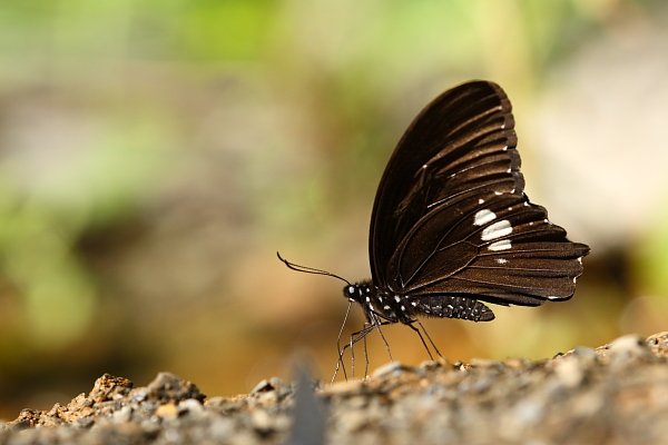 IMG_8053.JPG