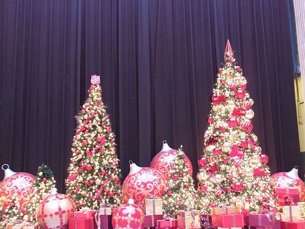DSCF0129