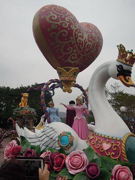 DSCN8011.JPG
