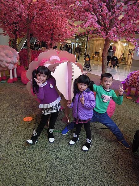 DSCN8140.JPG