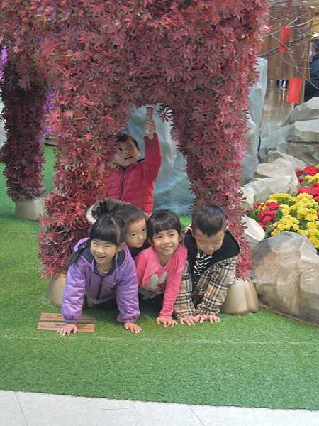 DSCN8217.JPG