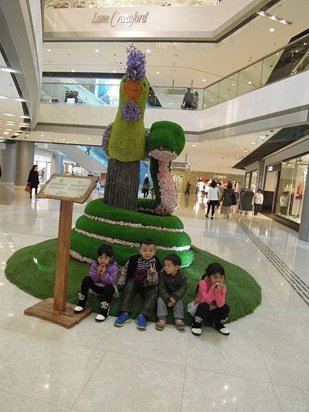 DSCN8223.JPG